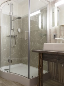 Hotel room Hotel Dresdner Hof Zittau bathroom with shower