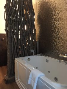 exclusive baths hotel Dresdner Hof Zittau2